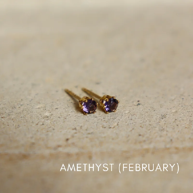 14k Gold Fill / February (Amethyst)