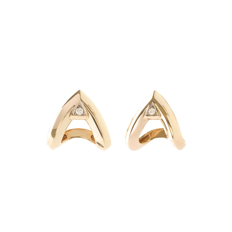 Prism Earrings